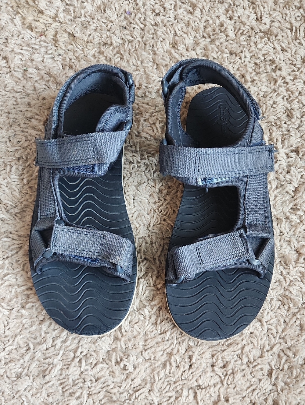 Boys Cat And Jack Blue Sandals